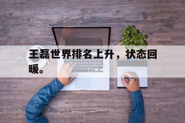 IM电竞最新下载-王磊世界排名上升，状态回暖。