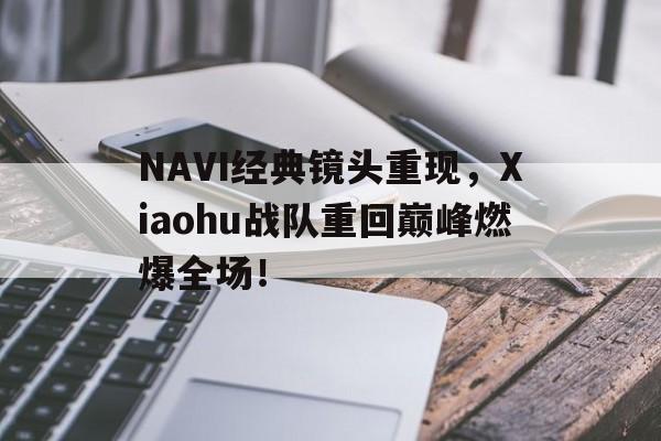 NAVI经典镜头重现，Xiaohu战队重回巅峰燃爆全场！