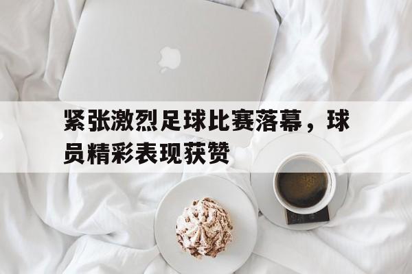 IM电竞最新下载-紧张激烈足球比赛落幕，球员精彩表现获赞